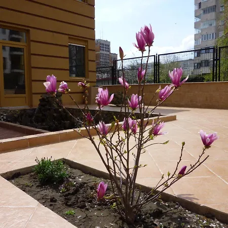 Casa Edwin 住宿加早餐酒店 3*