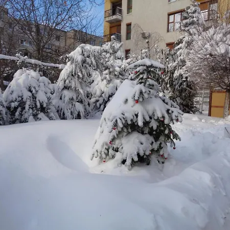 Casa Edwin 住宿加早餐酒店 康斯坦察