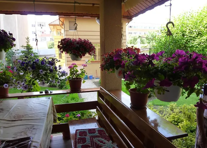 Casa Edwin Отель типа 