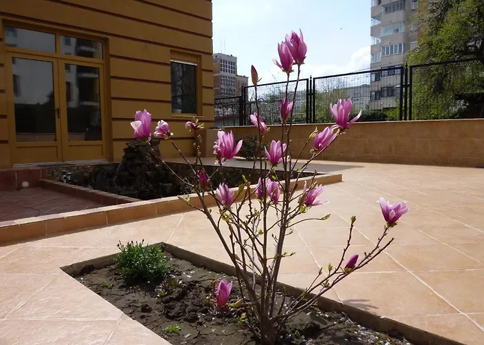 Casa Edwin Отель типа 