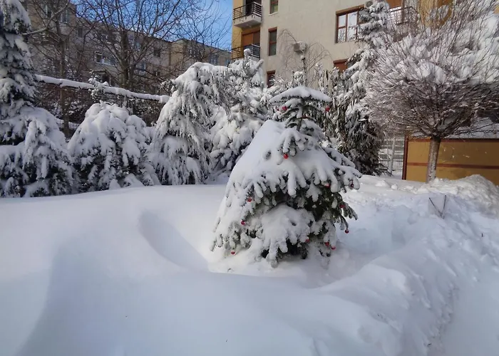 Casa Edwin Отель типа 