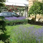 Bed and breakfast Casa Edwin 3*